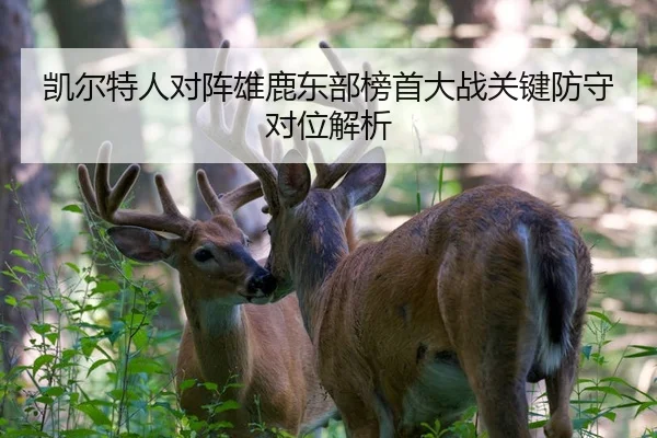 凯尔特人对阵雄鹿东部榜首大战关键防守对位解析