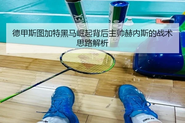 德甲斯图加特黑马崛起背后主帅赫内斯的战术思路解析
