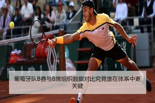 葡萄牙队B费与B席组织数据对比究竟谁在体系中更关键