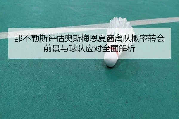 那不勒斯评估奥斯梅恩夏窗离队概率转会前景与球队应对全面解析